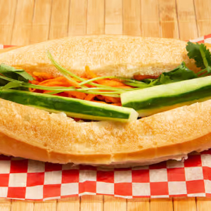 Vietnamese Subs